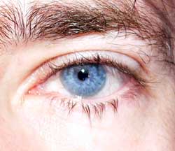 Profil de Antonyn